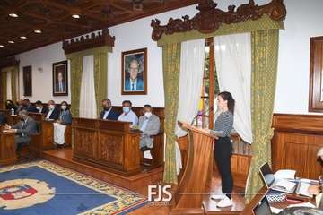Lara Collado retrata en el Pleno de Telde la realidad de la lacra machista/Francisco Javier Santana: